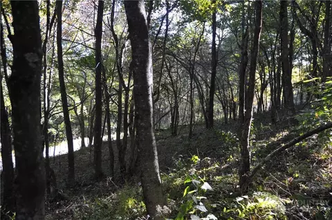 tbd E Whenlin Ridge Rd, Lansing, NC 28643 photo 10