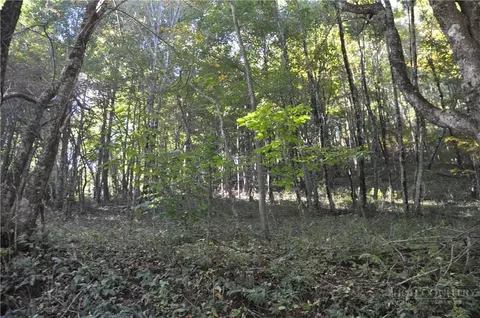 tbd E Whenlin Ridge Rd, Lansing, NC 28643 photo 6
