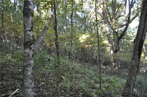 tbd E Whenlin Ridge Rd, Lansing, NC 28643 photo 17