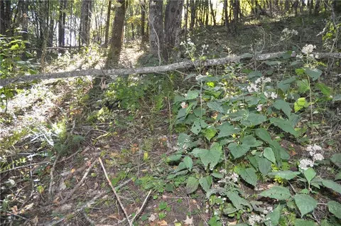 tbd E Whenlin Ridge Rd, Lansing, NC 28643 photo 13