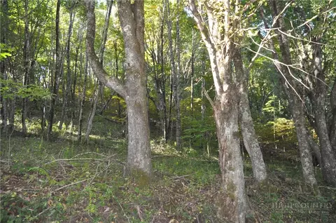 tbd E Whenlin Ridge Rd, Lansing, NC 28643 photo 7