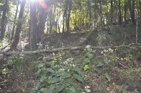tbd E Whenlin Ridge Rd, Lansing, NC 28643 photo 14