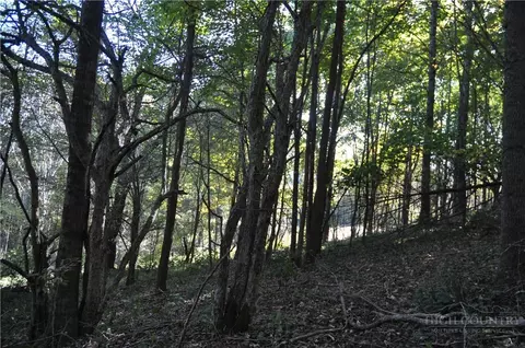 tbd E Whenlin Ridge Rd, Lansing, NC 28643 photo 29