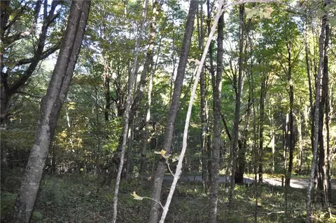 tbd E Whenlin Ridge Rd, Lansing, NC 28643 photo 16