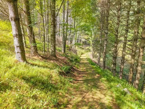 tbd Clark Swift Rd, Vilas, NC 28692 photo 25