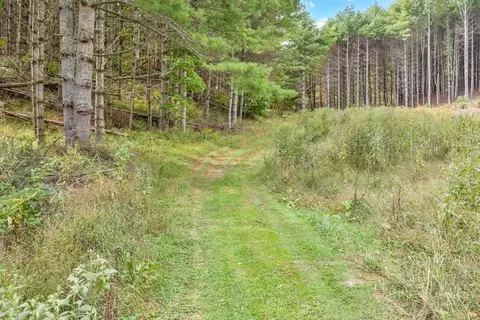 tbd Clark Swift Rd, Vilas, NC 28692 photo 32