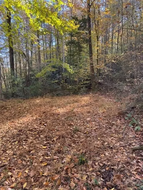 78 Holleridge Rd, Ferguson, NC 28624 photo 7