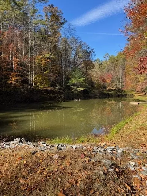 78 Holleridge Rd, Ferguson, NC 28624 photo 3