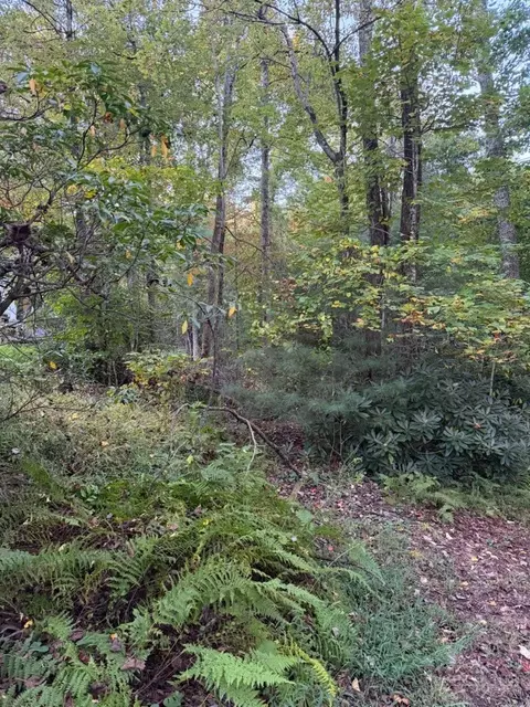 tbd Mountain Lake Rd, Ennice, NC 28623