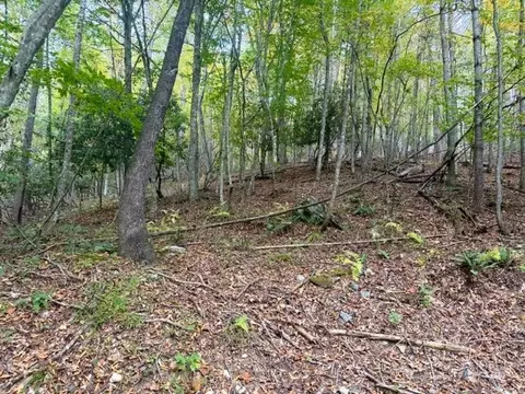 tbd E Weaver Ford Rd, Grassy Creek, NC 28631