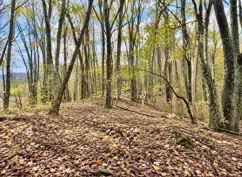 tbd Hwy 88w Hwy, Warrensville, NC 28693