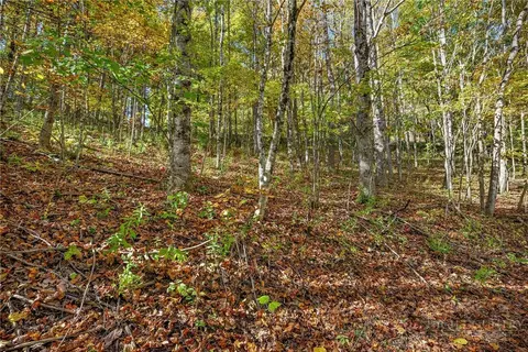 tbd Windy Hollow Trl, Todd, NC 28684 photo 15