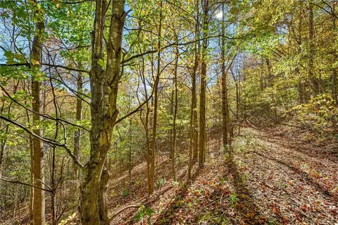 tbd Windy Hollow Trl, Todd, NC 28684 photo 13