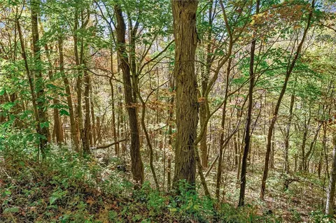 tbd Windy Hollow Trl, Todd, NC 28684 photo 19