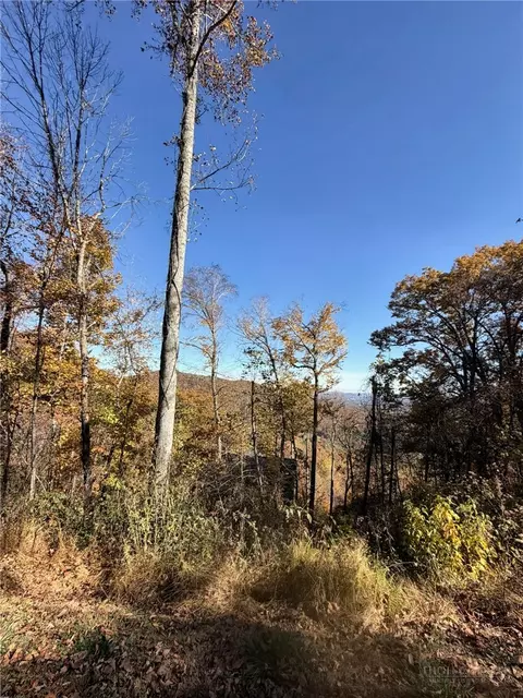 tbd Westfield Dr, Crumpler, NC 28617 photo 9