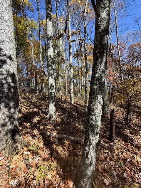tbd Westfield Dr, Crumpler, NC 28617 photo 11