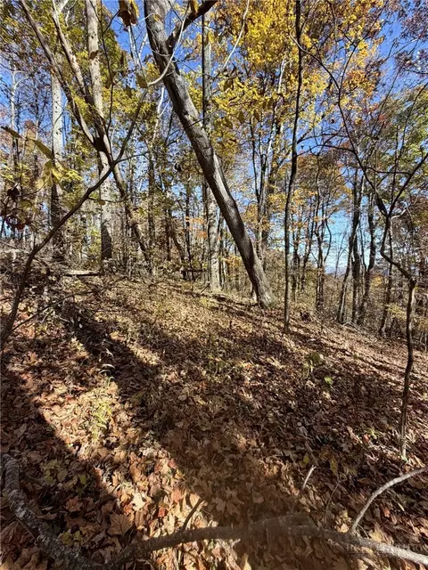 tbd Westfield Dr, Crumpler, NC 28617 photo 3