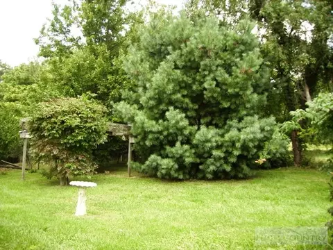 61 Maple St, Sparta, NC 28675 photo 7