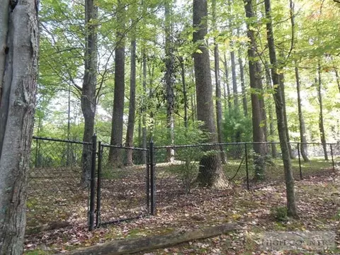 184 Hemlock Dr, Ennice, NC 28623 photo 14