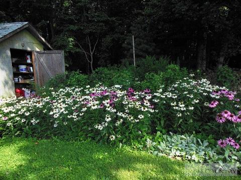 371 Harold Rd, Sparta, NC 28675 photo 14
