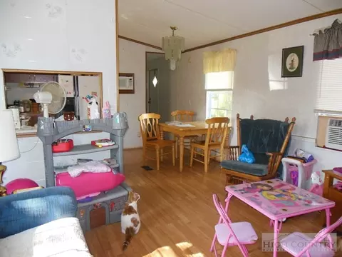 62 Parkview Dr, Sparta, NC 28675 photo 7