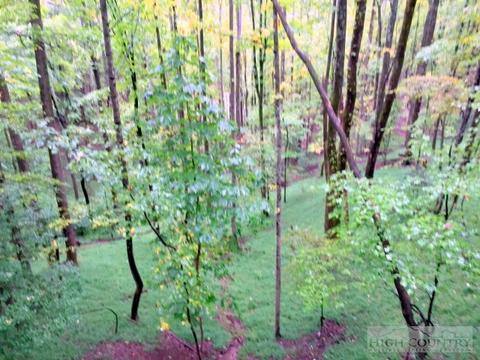 751 Horseshoe Ridge Rd, Deep Gap, NC 28618 photo 38