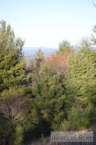 2997 Air Bellows Gap Rd, Sparta, NC 28675 photo 7