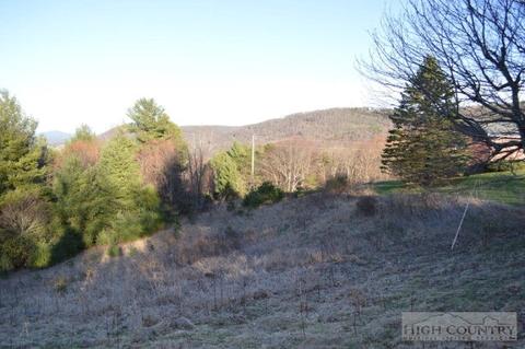 2997 Air Bellows Gap Rd, Sparta, NC 28675 photo 9