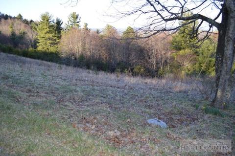 2997 Air Bellows Gap Rd, Sparta, NC 28675 photo 6