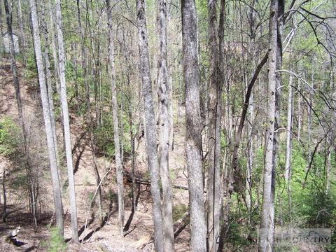 165 Penny Ln, Deep Gap, NC 28618 photo 19