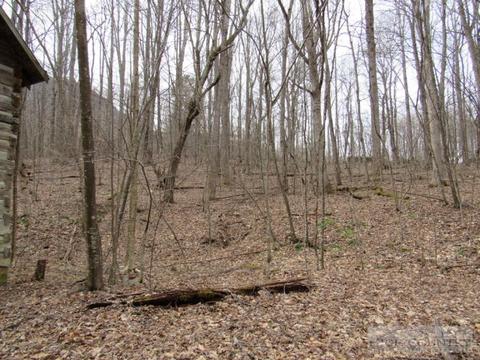 1531 Peak Rd, Creston, NC 28615 photo 21