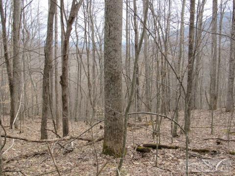 1531 Peak Rd, Creston, NC 28615 photo 13