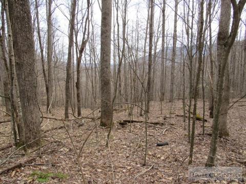 1531 Peak Rd, Creston, NC 28615 photo 16