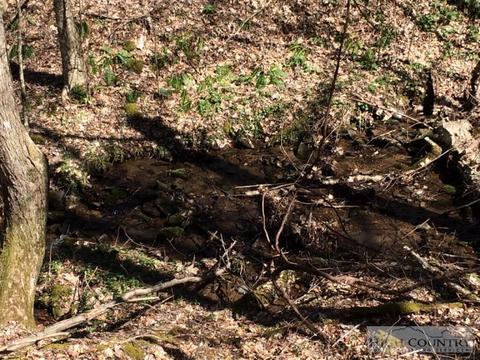 1531 Peak Rd, Creston, NC 28615 photo 7