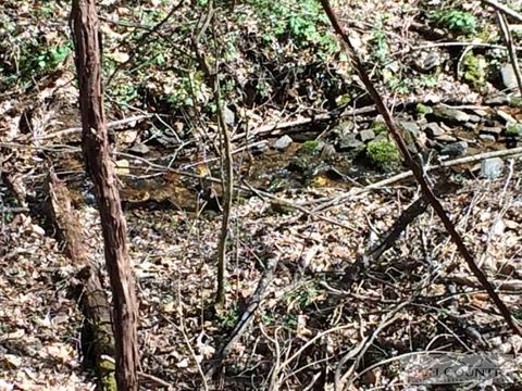 1531 Peak Rd, Creston, NC 28615 photo 8