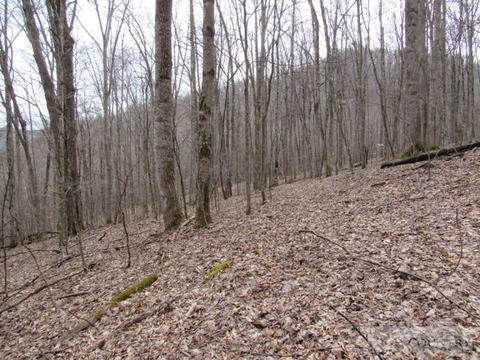 1531 Peak Rd, Creston, NC 28615 photo 19