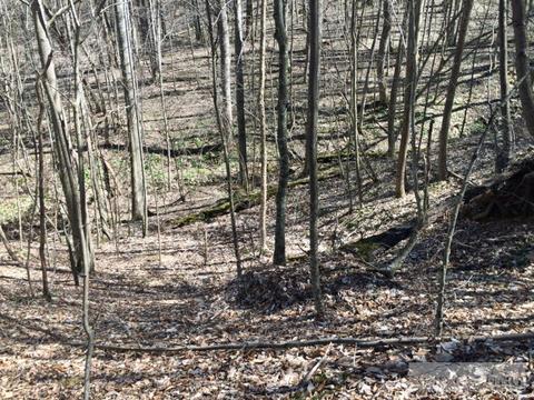 1531 Peak Rd, Creston, NC 28615 photo 6