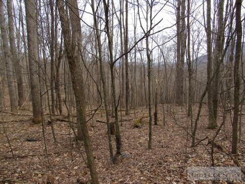 1531 Peak Rd, Creston, NC 28615 photo 20