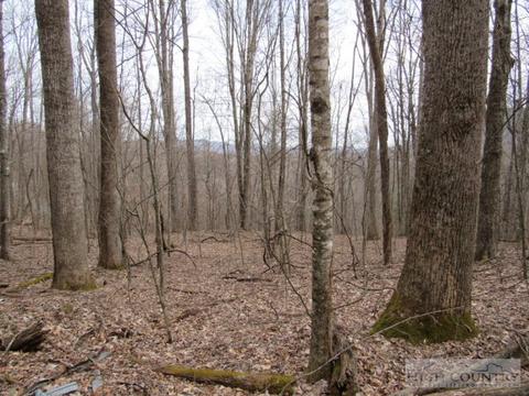 1531 Peak Rd, Creston, NC 28615 photo 18