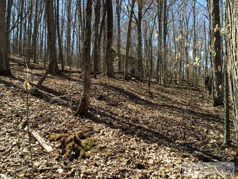 1531 Peak Rd, Creston, NC 28615 photo 12