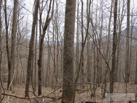 1531 Peak Rd, Creston, NC 28615 photo 15