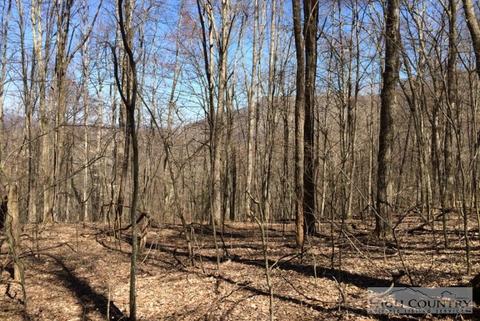 1531 Peak Rd, Creston, NC 28615 photo 3