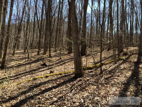 1531 Peak Rd, Creston, NC 28615 photo 14