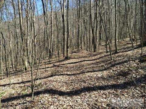 1531 Peak Rd, Creston, NC 28615 photo 4