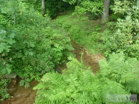 1606 Bee Tree Rd, Lansing, NC 28643 photo 4