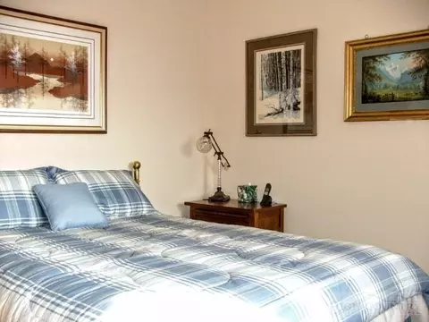 115 Shamrock Ln, Beech Mountain, NC 28604 photo 9