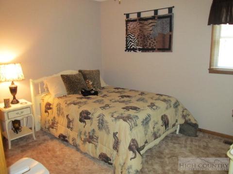 334 Allison Ln, Sparta, NC 28675 photo 5