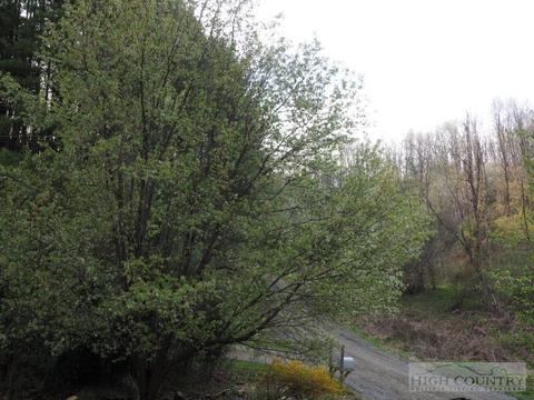 675 Ray Davis Rd, Lansing, NC 28643 photo 8
