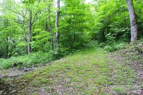 4083 Three Top Rd, Todd, NC 28626 photo 8