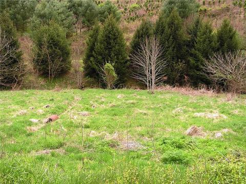 142 Ivan Trivett Rd, Vilas, NC 28692 photo 21